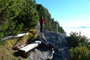 An einem ziemlich idyllischen Rastplätzchen verharrten wir alle nochmals einen Augenblick und   genossen die tolle Aussicht auf das Nebelmeer.