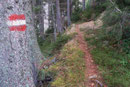 Am oberen Ende des Hanges drehte sich der rot-weiß-rote 676er Wanderweg in einem leichten Rechtsbogen einem Waldstück zu. Rasch durchschritten, erreichte ich von Neuen die nach oben führende Schotterstraße. Nun folgte ich dieser, bis …