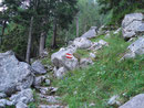 Dem  gut markierten Weg folgend komme ich auf ein kleines Plateau....... 