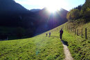 In Begleitung der letzten Sonnenstrahlen dieses wunderschönen Herbsttages ...