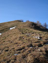 … und schon ging’s weiter Richtung Gipfel des Labenberges.