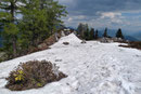 Doch vom zu langen Verweilen sahen wir eher ab, denn schon jetzt war es beschlossene Sache auch noch den Gipfel des Feldl (1696m) mitzunehmen. Also dann nahmen wir sozusagen unsere Beine in die Hand und …