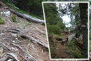 Ziemlich Abwechslungsreich führte der Westgrad-Panoramaweg zwischen Baumbestand, Latschengebüsch und felsigen Steilaufschwüngen bergan.