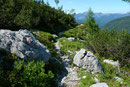 Das Landschaftsbild wandelte sich von der Eisgrube abwärts zum latschenbewachsenen Ahornkar im Minutentakt. Unterem Weitgries vorbei wanderte ich weiter …