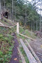 Der Wandersteig führte uns anfangs einen nassen, erdigen Weg entlang, vorbei an riesigen Sturmschäden.