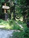 Wir querten eine Forststraße,  folgten der Beschilderung weiter Richtung Gößl und erreichten wiederum die Weggabelung 213/214 Richtung Langangsee. Hier wandten wir uns aber jetzt nach rechts.