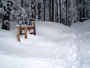 Wir stapften weiter und weiter Richtung Schickermahd durch den Pulverschnee, …