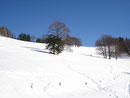 Von hier oben kamen wir, und eilig weiter ging die Reise zur Grünburgerhütte. 