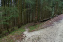 Etwa 500m weiter des Weges folgten wir der örtlichen Beschilderung und den ÖAV-Markierungen rechts entlang in den Wald, …