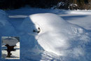 Diesmal wurde unser Rücken geschont, denn wir konnten unsere „Watschler“ von Beginn an tragen! Ein Schneehaufen erregte meine Aufmerksamkeit und beim genaueren Betrachten stellte sich heraus, es handelte sich um ein geparktes Auto. Ups!