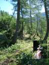 … wanderten vorbei an der Langgangalm und netten Steinmandl‘n zum Hinteren Langgangsee.