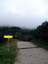 Der Nebel hang noch tief! Auf dem leicht ansteigenden und breiten Schotterweg wanderte ich der Nebeldecke entgegen. Hoffentlich löst er sich rasch auf, war mein Gedanke. Ansonsten stehe ich wieder am Gipfel und sehe in das weiße Nichts!