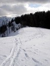 Ein kurzer Blick zurück auf den Weg woher wir gekommen waren und wir beschlossen den Rückweg, auf Steig Nr. 876, anzutreten.
