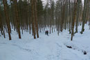 Ende