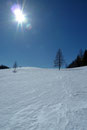 Winterimpressionen vom Feinsten. Festgehalten mit einer Panasonic DMC-TZ10.