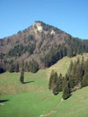 Nun präsentierte sich der bis obenhin bewaldete Gipfel des Kitzsteins. Die Chiemgauer Alpen sind ja für seinen Waldreichtum bekannt.