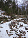 Auf nicht mal 1000m Seehöhe angekommen traf ich dann auch noch auf einige kleine Schneefelder vom vergangenen Winter.