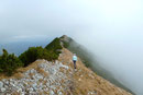 Da auch der Wind auffrischte und uns kühl um die Ohren wehte, wanderten wir wieder zurück zum Gamsstein-Gipfel, wo wir eine kurze Jausen- und Trinkpause einplanten.