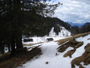 Nach kurzer Zeit hatte ich dann die Spitzenberger Alm wieder im Blickfeld.