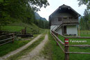 …  folgte dem rot-weiß-rot markierten Fahrweg weiter an der Felmayeralm vorbei, bis …