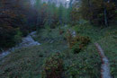 Die 100Hm im rutschigen Terrain hinter uns gelassen, drehte der Wegverlauf abermals in einem weiten Rechtsbogen durch herbstlich gefärbten Mischwaldbestand und …