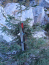 Und ja, mann konnte sich auch kleine Skier ausleihen im Winter, um noch schneller ins Tal düsen zu können.