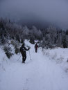 Schnurstracks bergab, der Nebel lichtete sich etwas, ...