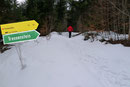 Anschließend ging es über eine kleine Böschung zu einer Forststrasse hinauf, wo auf der gegenüberliegenden Seite der Tressensteiner-Wanderweg Nr. 258 einmündete, dem Ronald & ich nun weiter bergwärts folgten.