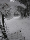 ... aber eines war jetzt schon sicher. Je höher wir kamen, desto dicker wurde die Schneedecke.