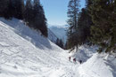 Im Anschluss der kleinen Einlage hieß es aber wiederum Spaß beiseite. Daraufhin wanderten wir gemütlich an der Jagdhütte vorbei und peilten den steilen Bärnkogelgraben an, …