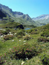 Ein Blick nach links  auf den hier oben im Juli blühenden Almrausch und das beeindruckende Panorama.