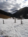 Ich parkte mein Auto am Parkplatz der Jausenstation Zickerreith. Von dort wanderte ich die ersten 50m entlang der Asphaltstrasse, bis links eine Forststrasse zur Spitzenberger Alm abzweigte.
