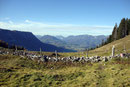 Bei der Weggabelung zur „Hofalmhütte (1305m)“ angekommen.  Nach einem Ausblick hinüber zum „Sengsengebirge“ wandten wir uns hier nach links …