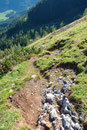 Nach einigem Gequatsche mit den Leuten bei der Hütte machte ich mich auch hier wieder auf die Socken. Nicht wie all die anderen der Forststraße  entlang, wanderte ich den in Serpentinen talwärts  führenden Steig hinab.