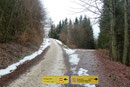 Somit wanderten wir schnurstracks höher. Nach einer guten ¾ Stunde wurde auf 840m Seehöhe eine Weggabelung erreicht, an welcher der „3-Almen-Rundwanderweg“ rechts wegführte. Doch zu dem kommen wir später!