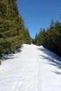 Jeder Spaß hat ein Ende, somit auch unsere „Schneeschuh-Abfahrt“. Mit guter Laune und einem Grinser im Gesicht watschelten wir die Forststraße bis zu der Bergstation der Spechtensee-Liftanlagen, …
