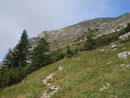 Dem Verlauf des Weges folgend, nochmals hurtig ansteigend.......