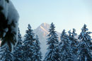 Noch vor dem Frühstück im Gasthof Alpenrose wurde von Rudolf und mir  schon kräftig fotografiert. Hier auf dem Bild zu sehen ein fantastischer Ausblick hinüber zum Gipfel des Rinnkogels (1823m).
