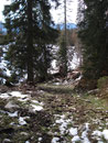 ... und schon erreichte ich wieder den schneelosen Teil der Wanderung.