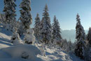 … geradewegs höher durch Frau Holles Winterwonderland.