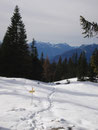 ... noch ein kurzes Stück durch den Schnee ...