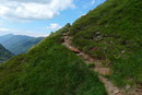 Die Lippen und auch die Zunge schon ganz blau vor lauter futtern, setzte ich unmittelbar danach meine dritte Tour des Tages weiter fort. Der gut ausgetretene Pfad führte dabei um eine Ecke herum und …