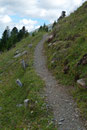 Gleich im Anschluss folgten wenige Meter auf einer Forststraße bevor ein nettes kleines Steiglein Richtung „Schaubachhütte (2851m)“ abzweigte.