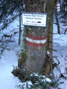 Zehn Minuten vorm Gipfel musste ich den Wandersteig Nr. 32 verlassen und auf Wandersteig Nr. 10 wechseln.