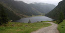 In wenigen Minuten auf der Forststraße, vorbei an der Gfölleralm, waren wir am Riesachsee angekommen.