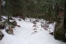 Aber es half alles nichts - der Gedanke an das köstliche „Nass“ im Gasthof Trisselwand trieb uns hurtig weiter abwärts.