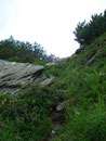 Was man absteigt, gilt es auch wieder zu erklimmen und sogleich führte mich der Steig 150m steil in Serpentinen den Wiesenhang zum Gr. Rotbühel empor.