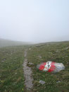 ... gings die ersten Meter vom Gipfel auf Wanderweg Nr.690 zurück bevor dieser wieder zu Wanderweg Nr.691 wurde.