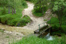 Heute musste die Spitze fallen! So wanderte ich anfangs den leicht abfallenden Weg zum Mühlbach hinunter, überquerte ihn auf einer kleinen Brücke, bevor …