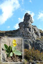 Vorbei an wunderschöner Bergflora erreichten wir rasch eine Art Bergkamm. Rechts von uns türmte sich ein riesiger Felsen auf den wir besteigen wollten. Von dort oben aus soll man angeblich toll ins Ländle blicken können.